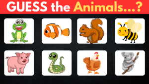 Guess 100 Animals in 5 Seconds — A Fun Way to Learn with Zeekidzedia!