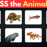 Guess the animal. Kids learning
