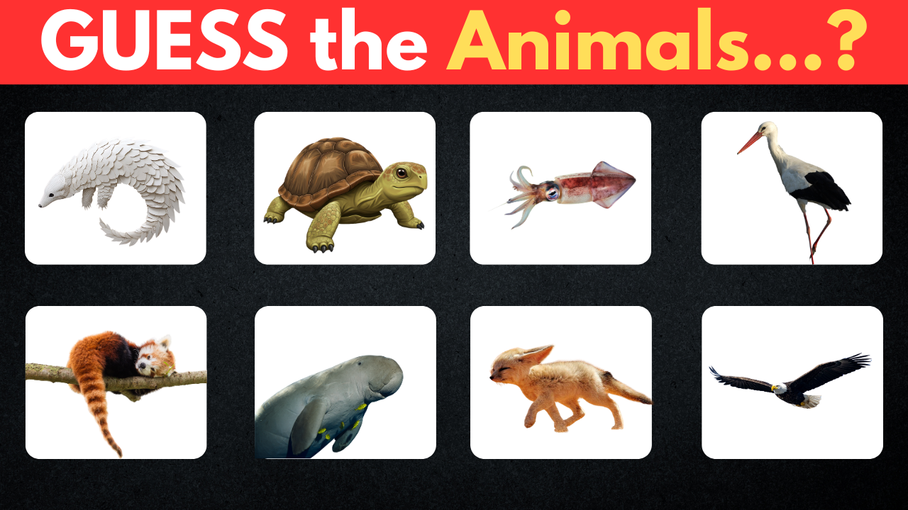 Guess the animal. Kids learning